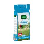 Ultra résistant - Gazon Ultra Résistant - Label Rouge - 5 kg - face recto